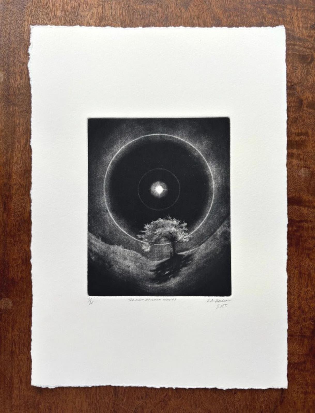 The Light Between Worlds